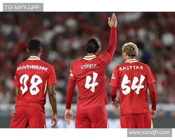 2000年欧洲杯荷兰队辉煌历程与战术分析探讨