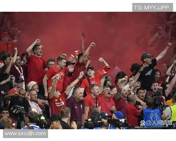 2008年欧洲杯冠军回顾：西班牙队的辉煌历程与传奇时刻