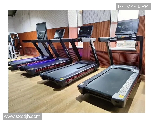 小型体育健身器材助你在家轻松锻炼塑造完美身材的最佳选择