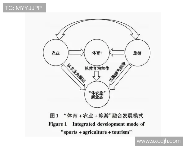探索体育教育与培训旅游的融合发展新模式与实践路径