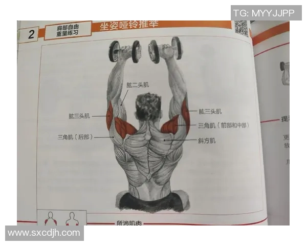 提升肩部力量与线条的坐姿哑铃推肩训练适合女生的健身指南